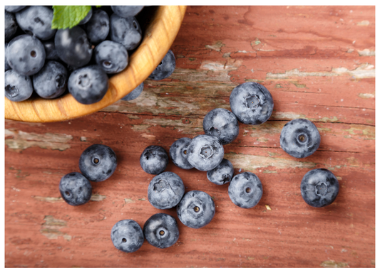 Biscuits & Douceurs d'Auvergne : La Pause Gourmande Idéale | Enfants des Volcans