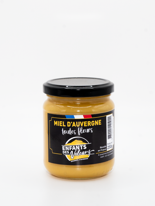 L'Or Jaune d'Auvergne : Pourquoi choisir notre Miel Toutes Fleurs ? 🍯